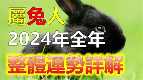 72屬什麼|線上十二生肖年齡計算器，輸入出生年月日即可查詢生肖及運勢